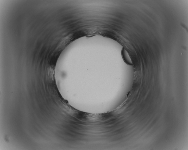 X0000097870142200804041559