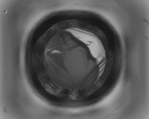 X0000097870143200804041559