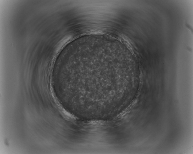 X0000097870145200804041558