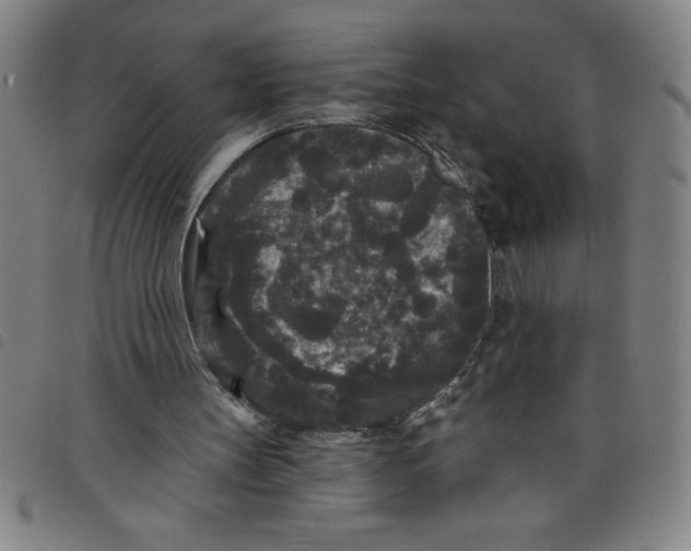 X0000097870147200804041558