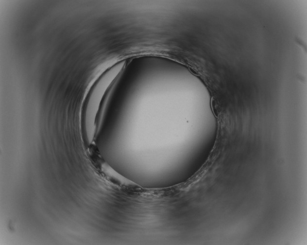X0000097870148200804041558