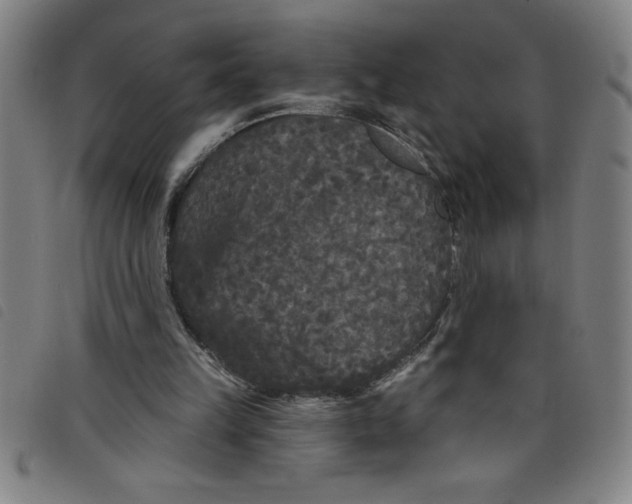 X0000097870149200804041558