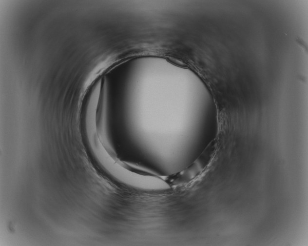 X0000097870150200804041558