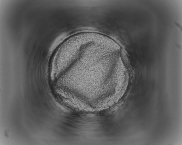X0000097870151200804041558