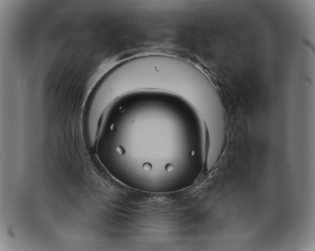 X0000097870152200804041558
