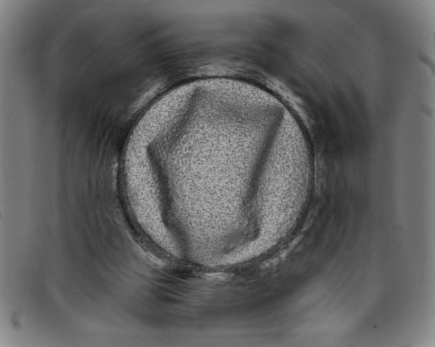 X0000097870153200804041558