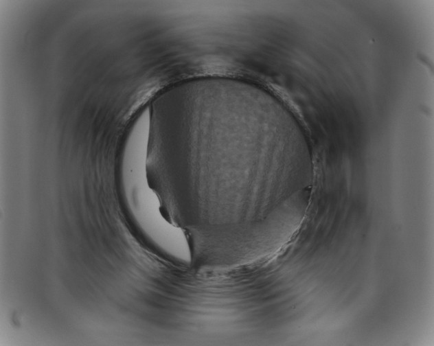 X0000097870154200804041558
