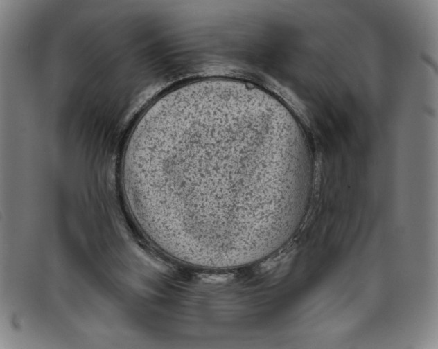 X0000097870155200804041558