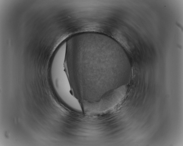 X0000097870156200804041558