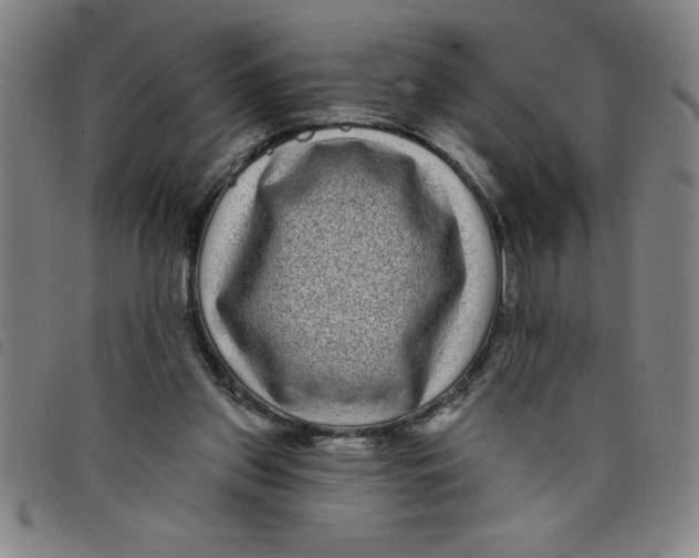X0000097870157200804041558