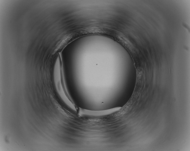 X0000097870158200804041558