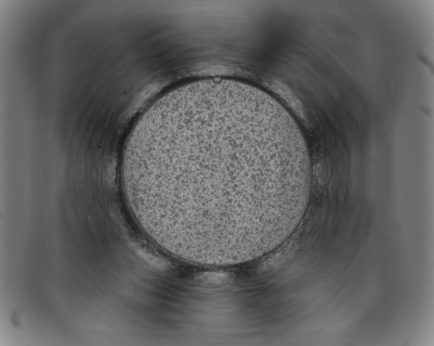 X0000097870159200804041558