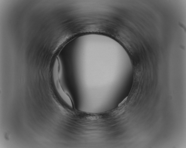 X0000097870160200804041558