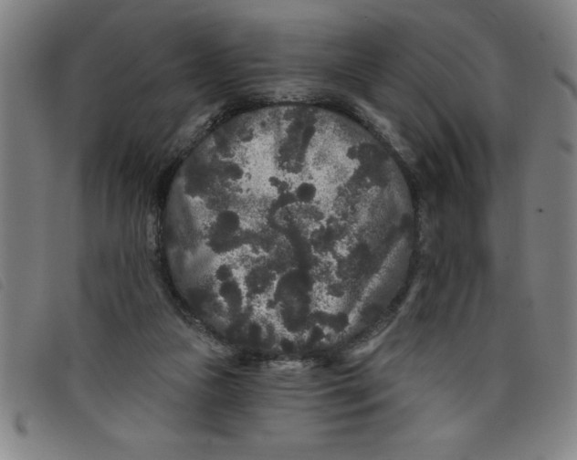 X0000097870161200804041558