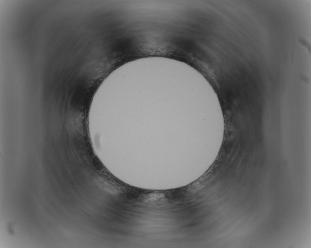 X0000097870162200804041558