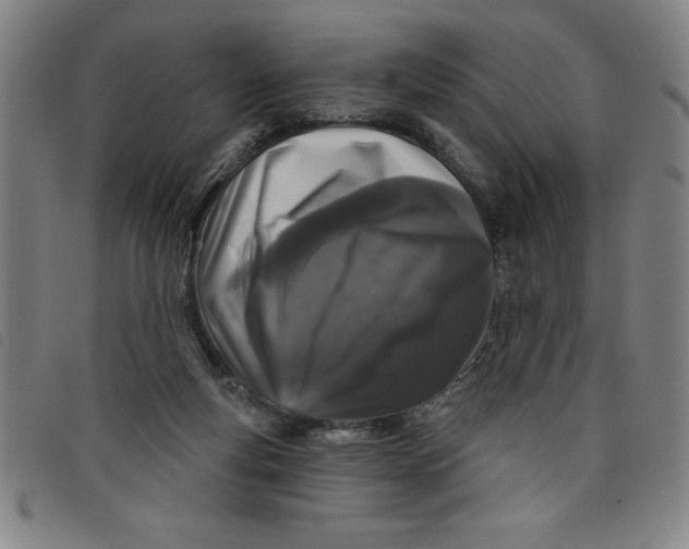 X0000097870163200804041559