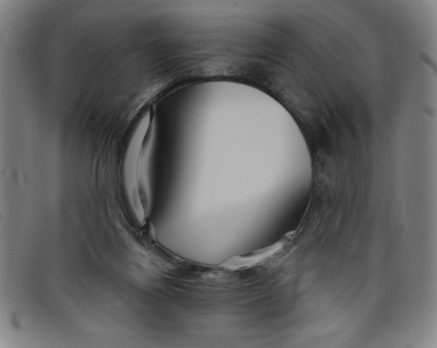 X0000097870164200804041559