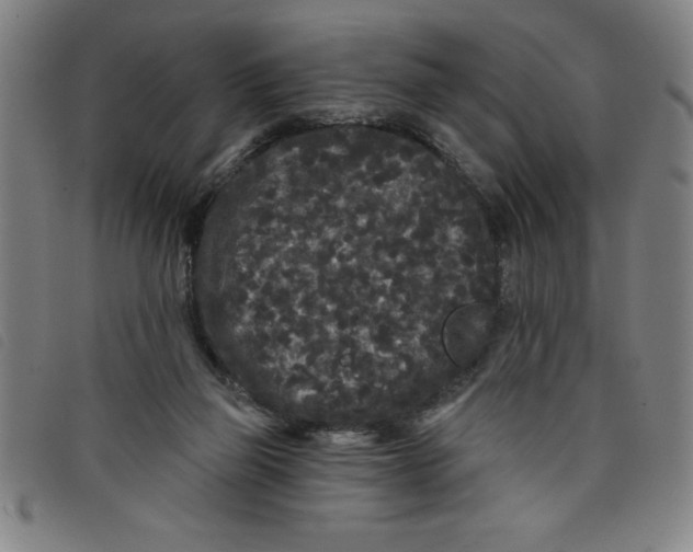 X0000097870165200804041559