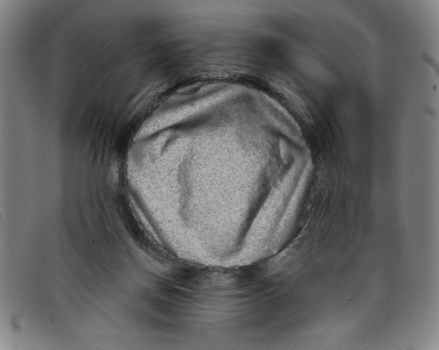 X0000097870166200804041559