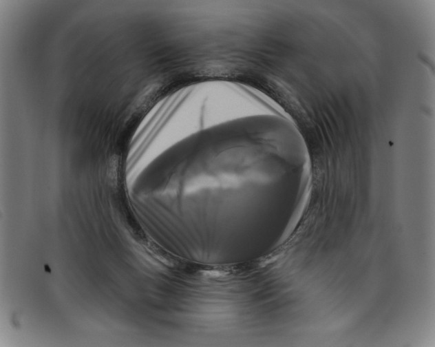 X0000097870167200804041559