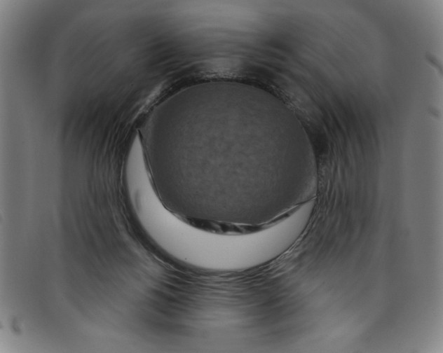 X0000097870168200804041559