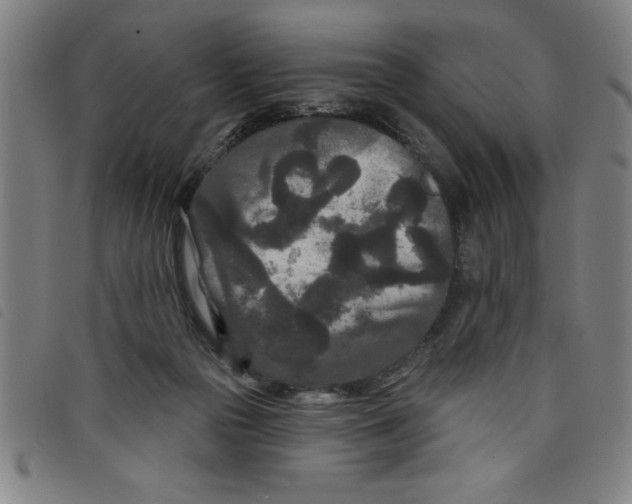 X0000097870169200804041559