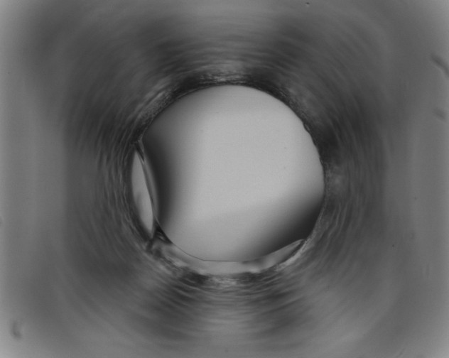 X0000097870170200804041559