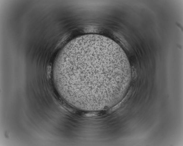 X0000097870171200804041559