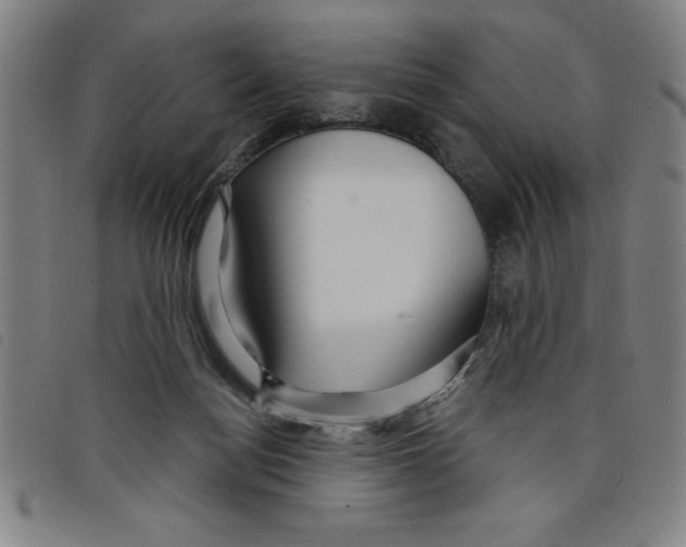 X0000097870172200804041559