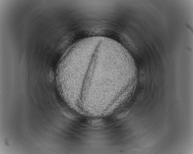 X0000097870173200804041559