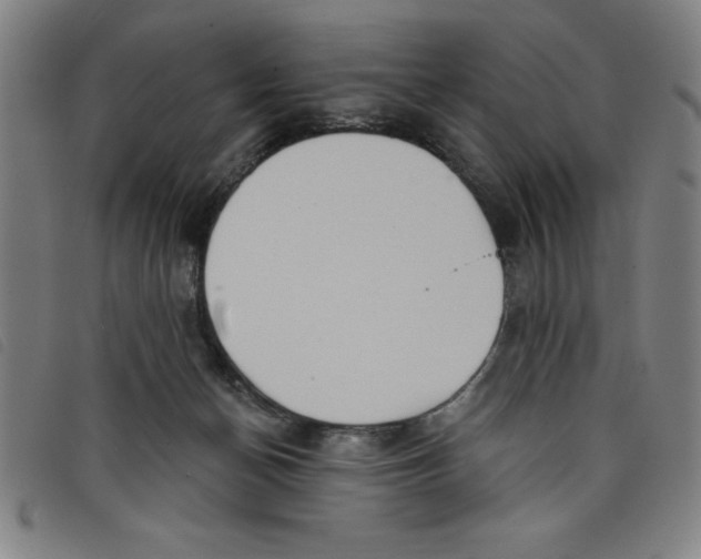 X0000097870174200804041559