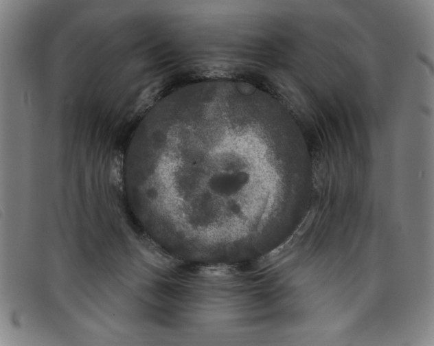 X0000097870175200804041559