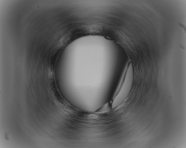 X0000097870176200804041559