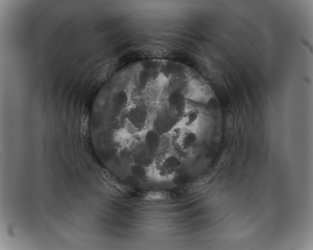 X0000097870177200804041559