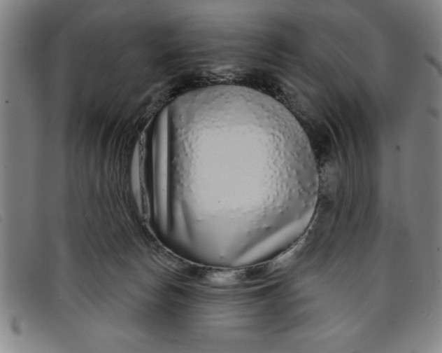 X0000097870178200804041559