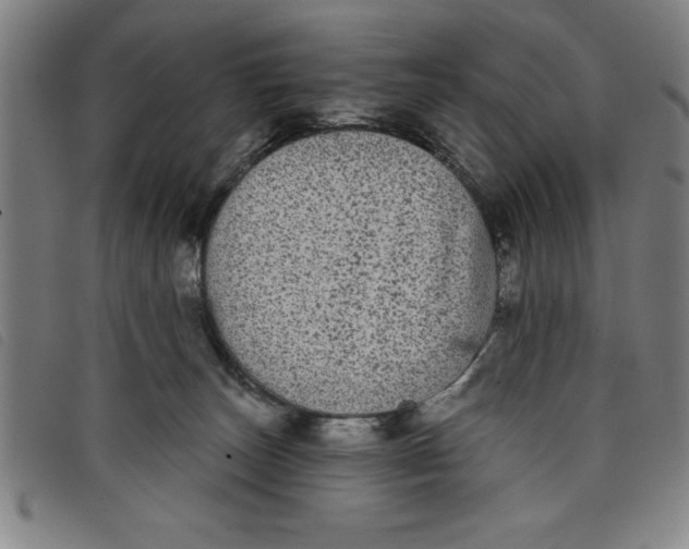 X0000097870179200804041559