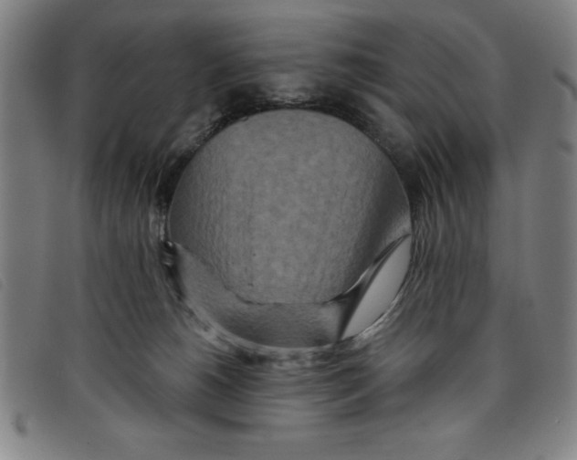 X0000097870180200804041559