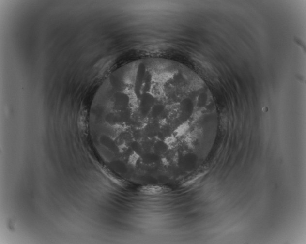 X0000097870181200804041559