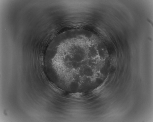 X0000097870182200804041559