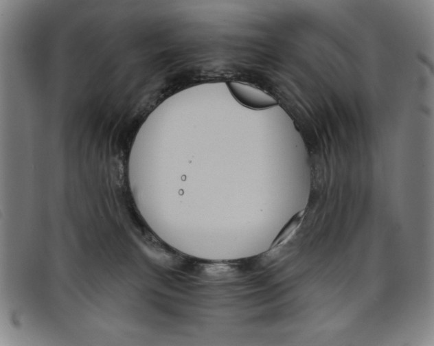 X0000097870183200804041559