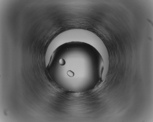 X0000097870184200804041559