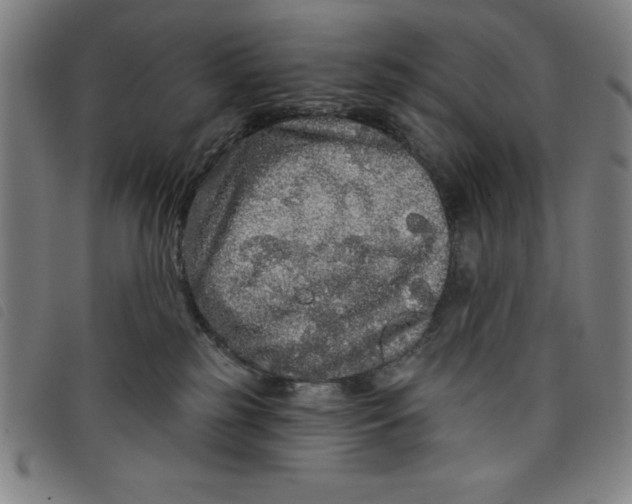 X0000097870185200804041559