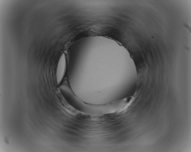 X0000097870186200804041559