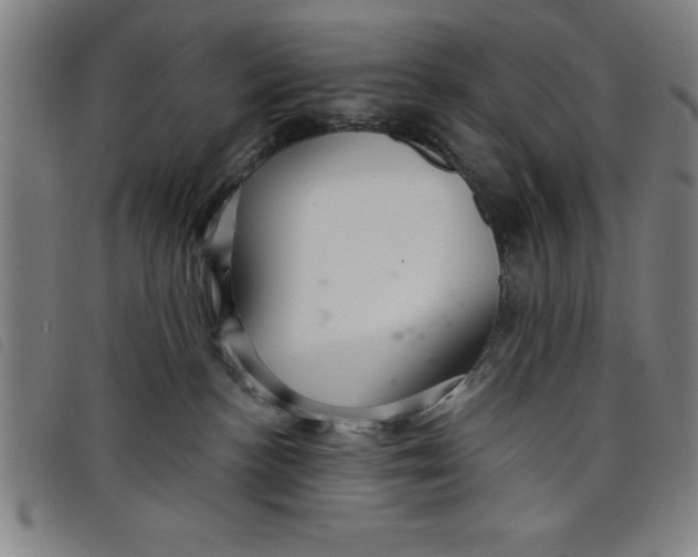 X0000097870188200804041559