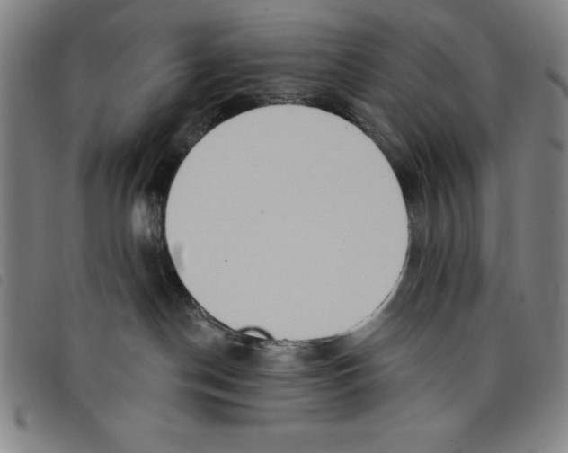 X0000097870190200804041559