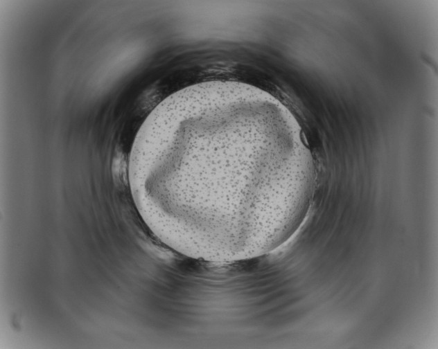 X0000097870191200804041559
