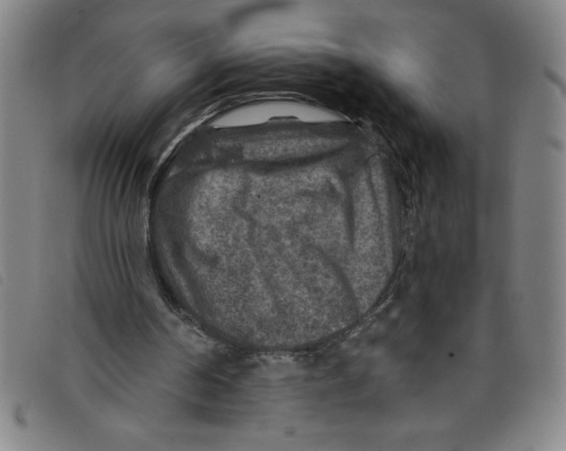 X0000097870194200804041558