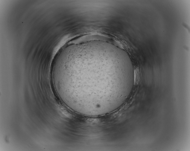 X0000097870195200804041558