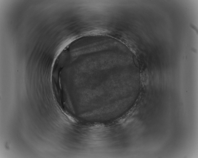X0000097870196200804041558