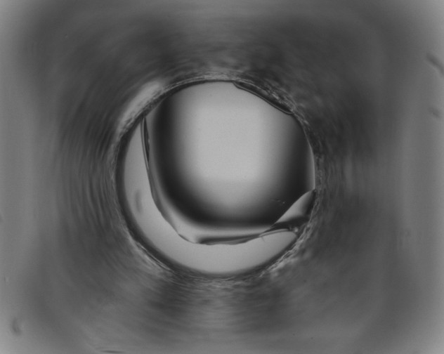 X0000097870197200804041558